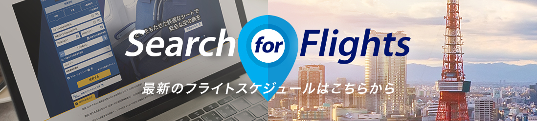 Search for Flights $B:G?7$N%U%i%$%H%9%1%8%e!<%k$O$3$A$i$+$i(B